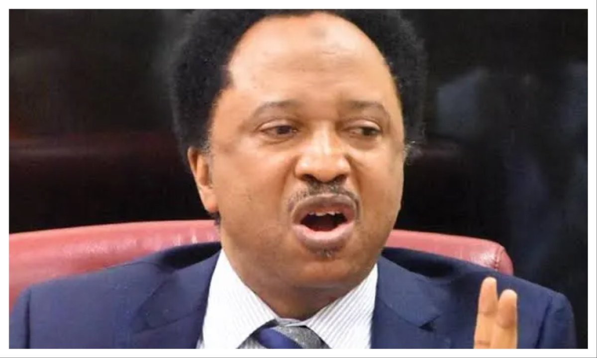  Osun Decides: Adeleke fighting for his political survival — Shehu Sani 