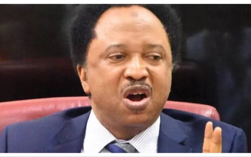 Osun Election: Opposition angry Gov Adeleke thanked Tinubu for victory – Shehu Sani