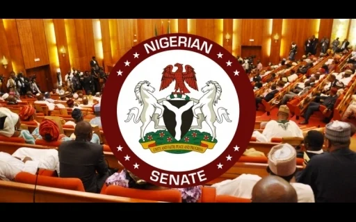 Tinubu seeks senate approval for national research, development fund