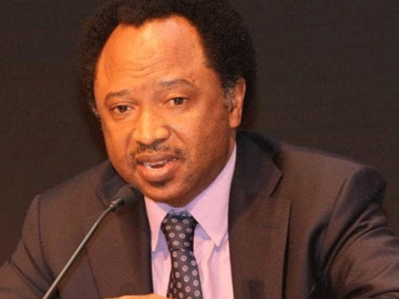 2027: Rotational Presidency Will End If… – Shehu Sani