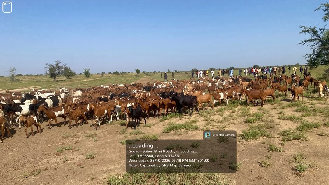 Soldiers foil terrorist ambush in Zamfara, rescue two herders