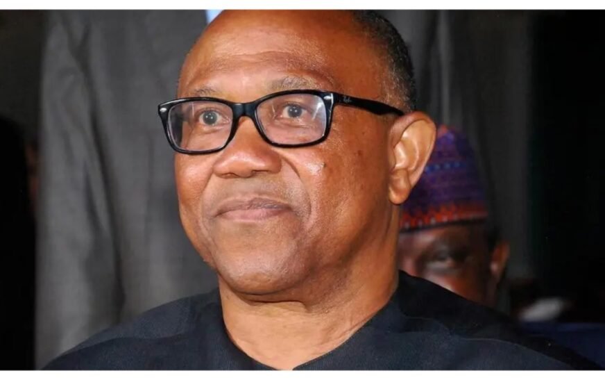 'NDC campaign council full of content creators' – Presidency mocks Peter Obi