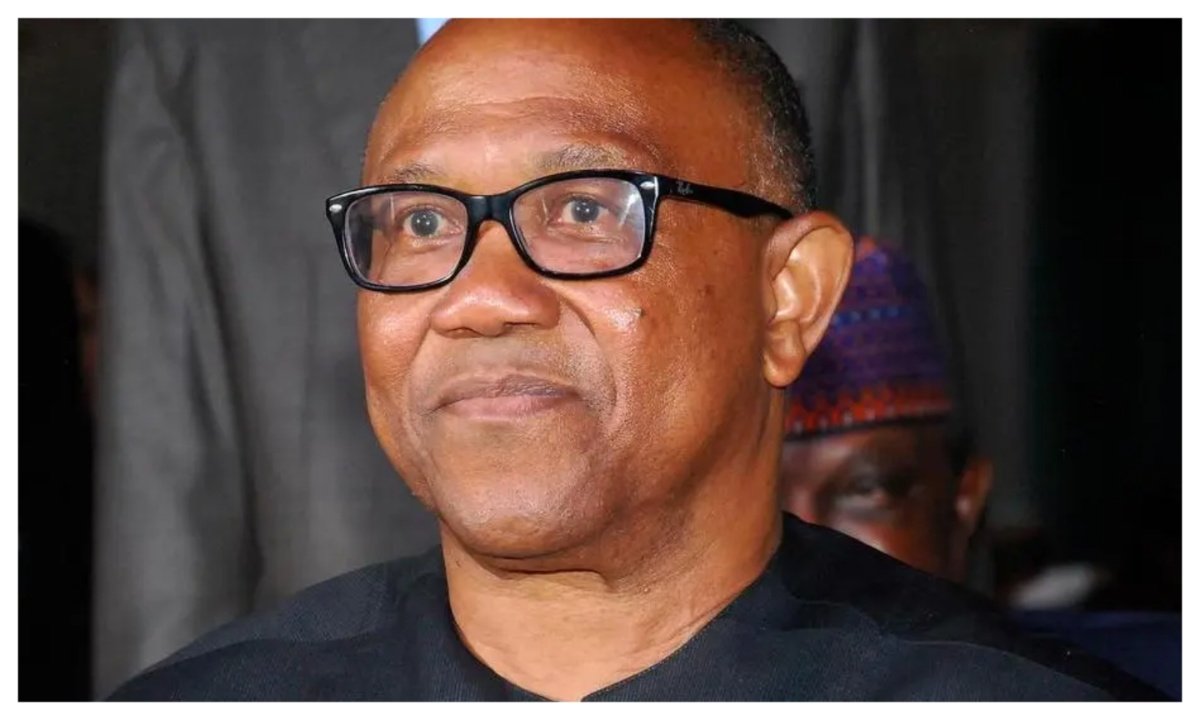 'NDC campaign council full of content creators' – Presidency mocks Peter Obi
